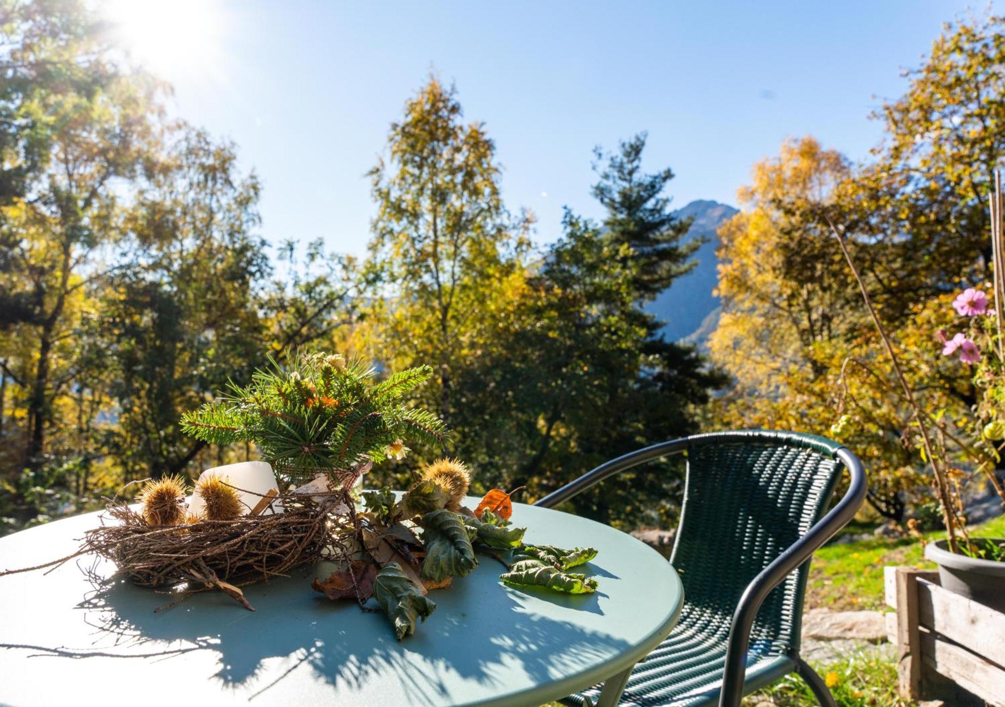 Resalbert Chalet Chiavenna Bagian luar foto